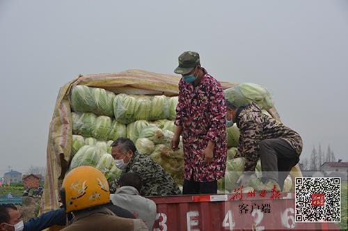 松滋司機最新招聘,松滋司機最新招聘，職業(yè)前景、要求與如何應聘