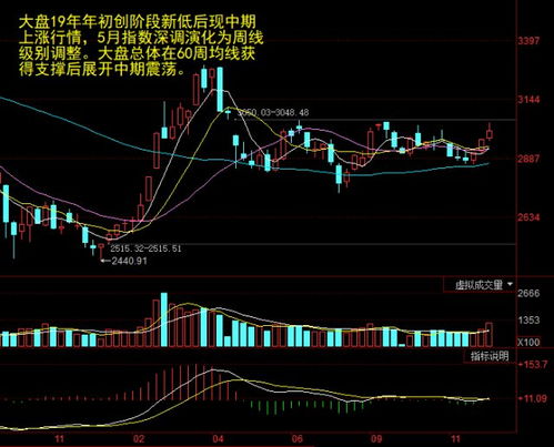 002663最新消息,關(guān)于股票代碼002663的最新消息與行業(yè)洞察