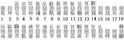 二四六管家婆期期準(zhǔn)資料,二四六管家婆期期準(zhǔn)資料，深度解析與前瞻性預(yù)測