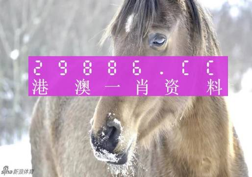 澳門平特一肖100%準(zhǔn)資點(diǎn)評(píng),澳門平特一肖，揭秘所謂的百分百準(zhǔn)確資料點(diǎn)評(píng)背后的真相