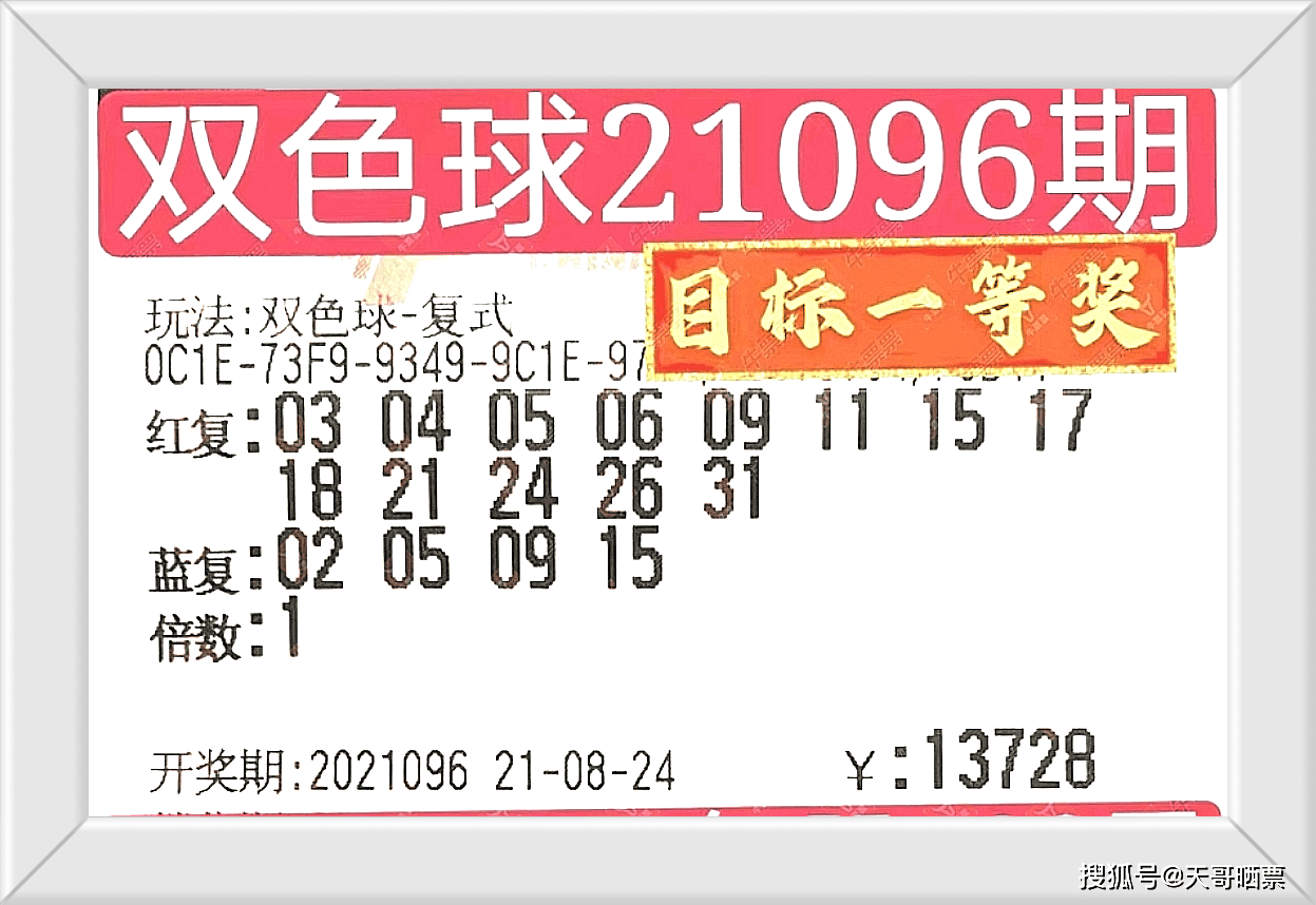 2024新澳門今晚開獎號碼和香港,探索彩票奧秘，新澳門與香港的開獎號碼展望（2024年展望）