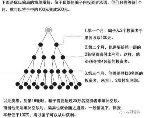 一碼一肖100%的資料,一碼一肖，揭秘背后的犯罪風(fēng)險與警示價值