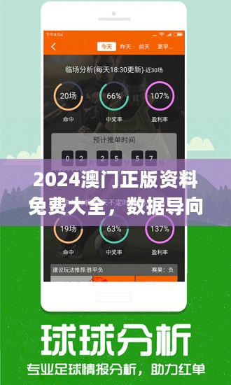 2024澳門精準正版免費大全,關(guān)于澳門精準正版免費大全的探討與警示——警惕違法犯罪問題