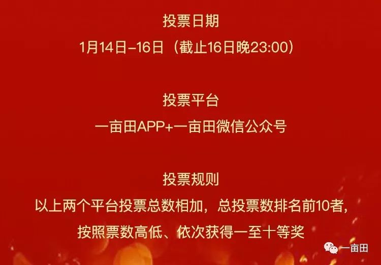 澳門二四六天下彩天天免費大全,澳門二四六天下彩天天免費大全——揭示背后的違法犯罪問題