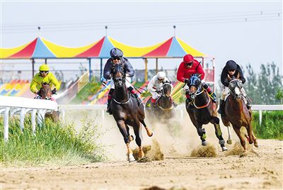 2024今晚香港開特馬,今晚香港開特馬，探索賽馬文化，體驗(yàn)速度與激情