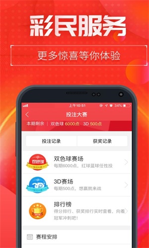 王中王493333中特1肖,王中王493333中特1肖，探索與解讀