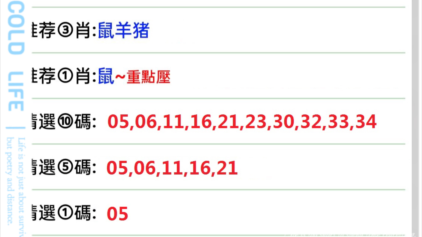 2025年1月1日 第33頁