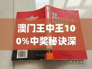 澳門王中王100%期期中一期,澳門王中王，揭秘期期中一期的秘密與魅力