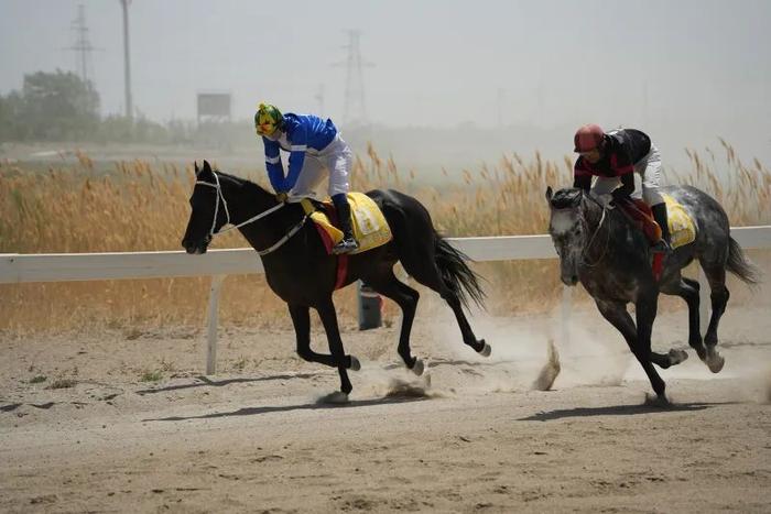 2024今晚香港開特馬,今晚香港開特馬，探索賽馬運(yùn)動的魅力與未來展望