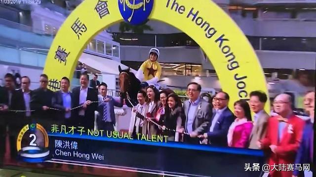 2024今晚香港開特馬開什么,探索香港賽馬文化，2024今晚特馬盛宴展望