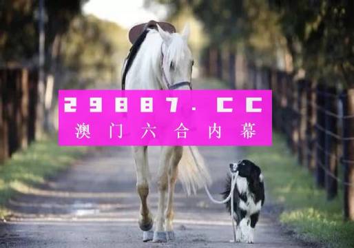 新澳2024年精準(zhǔn)一肖一碼,新澳2024年精準(zhǔn)一肖一碼，預(yù)測(cè)與探索