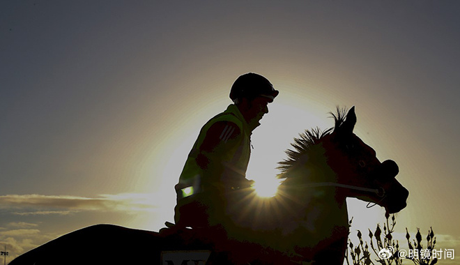 2024澳門特馬今晚開獎93,澳門特馬今晚開獎93，期待與驚喜的交融