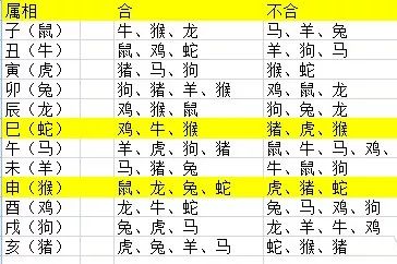 2024年12生肖49碼圖,揭秘2024年十二生肖與49碼圖的神秘關聯(lián)