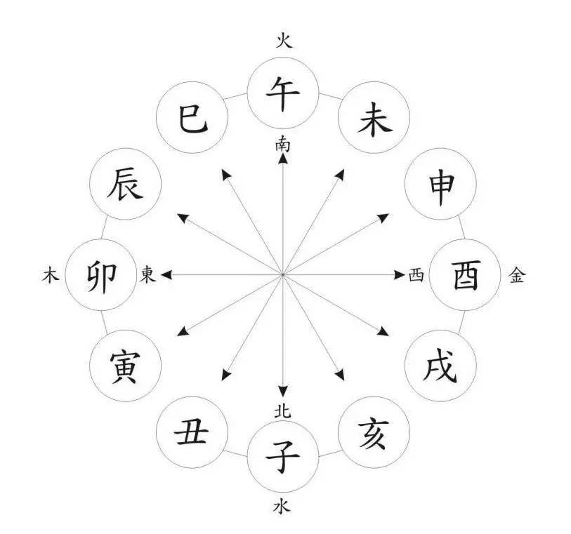 一肖一碼,一肖一碼，探索數(shù)字與生肖的奧秘