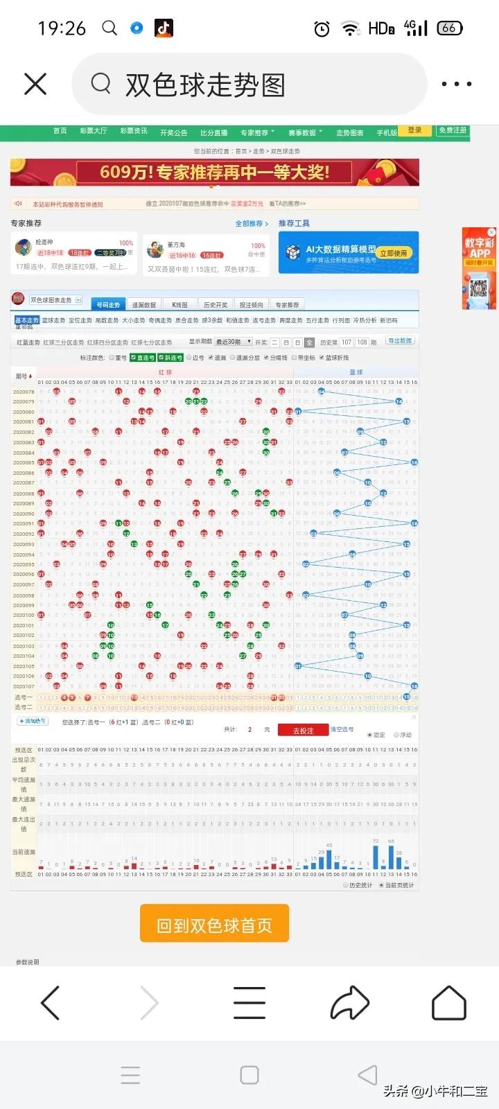 今晚澳門特馬開什么,今晚澳門特馬開什么，探索隨機(jī)性與預(yù)測的邊緣