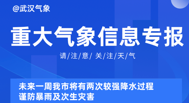 2025年1月7日 第41頁