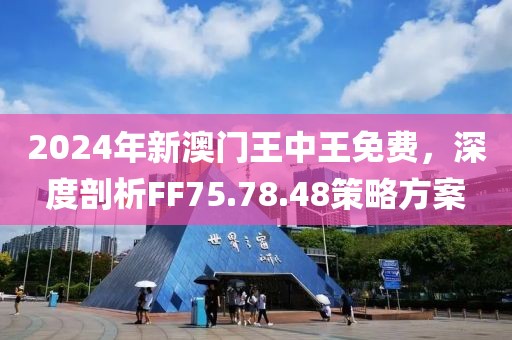 2024年新澳門王中王免費(fèi),探索新澳門，2024年王中王免費(fèi)現(xiàn)象的背后