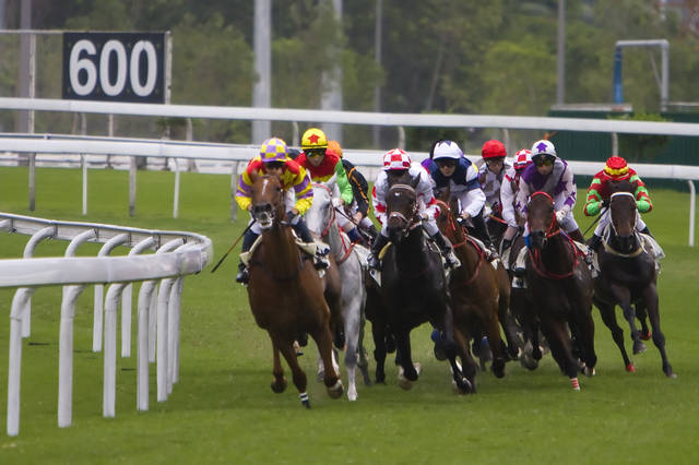 2024今晚香港開特馬開什么,探索香港賽馬文化，2024今晚特馬賽事展望