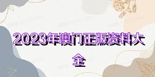 2023年正版資料免費(fèi)大全, 2023年正版資料免費(fèi)大全，探索與分享