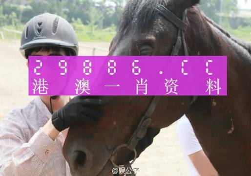 澳門最準(zhǔn)一肖一碼,澳門最準(zhǔn)一肖一碼，揭示背后的犯罪問題