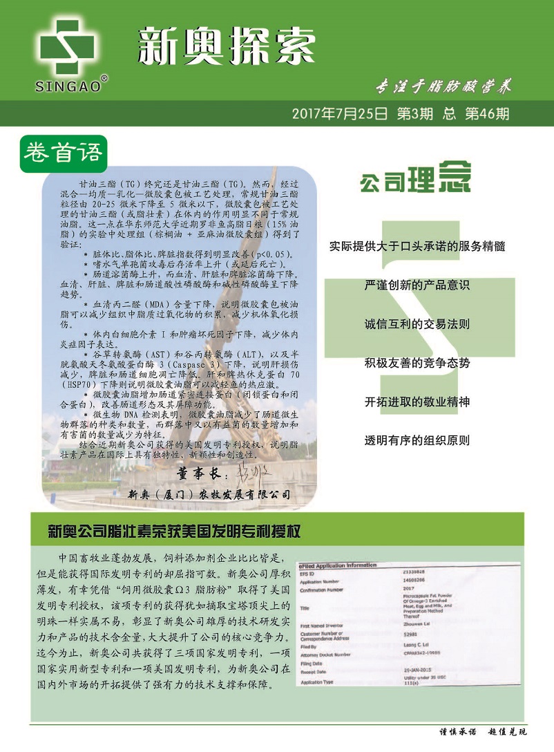 2024新奧精準(zhǔn)正版資料,探索未來之路，解析2024新奧精準(zhǔn)正版資料的重要性與價值