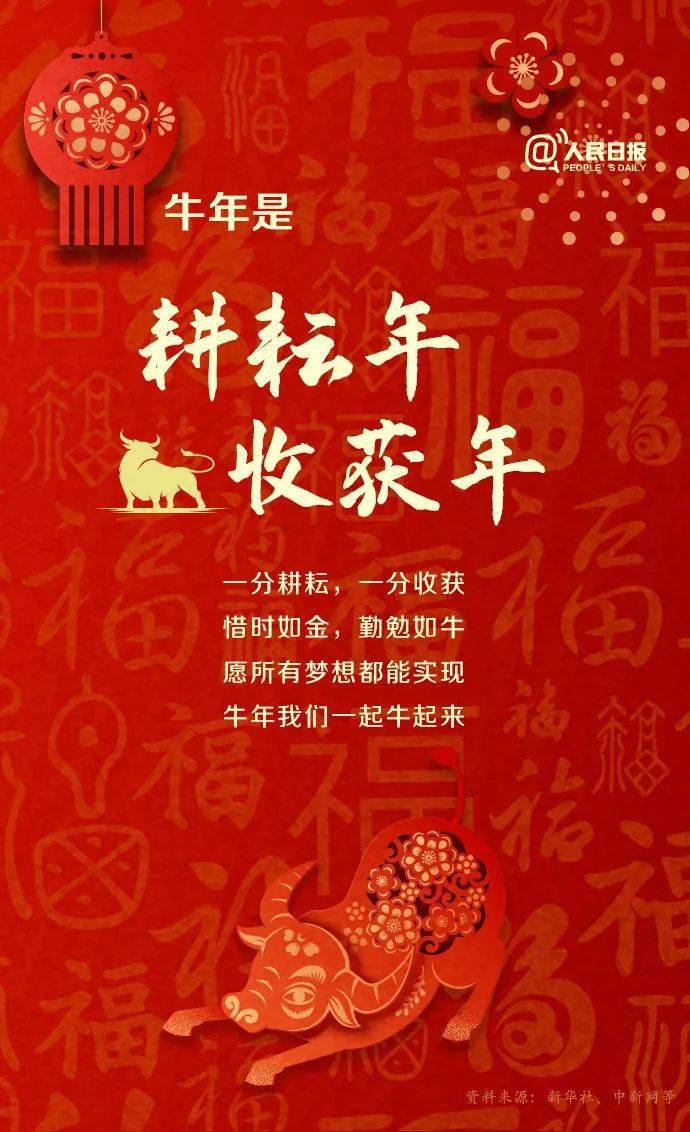 2024新澳門(mén)跑狗圖今晚特,探索新澳門(mén)跑狗圖，今晚特刊的獨(dú)特魅力與未來(lái)展望（2024版）