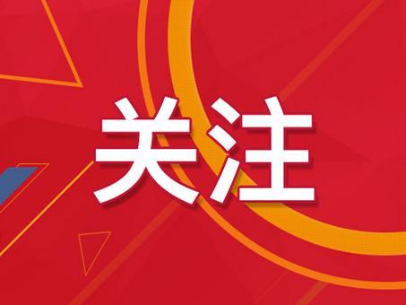 新澳門精準(zhǔn)資料大全管家資料,新澳門精準(zhǔn)資料大全與管家資料的深度解析