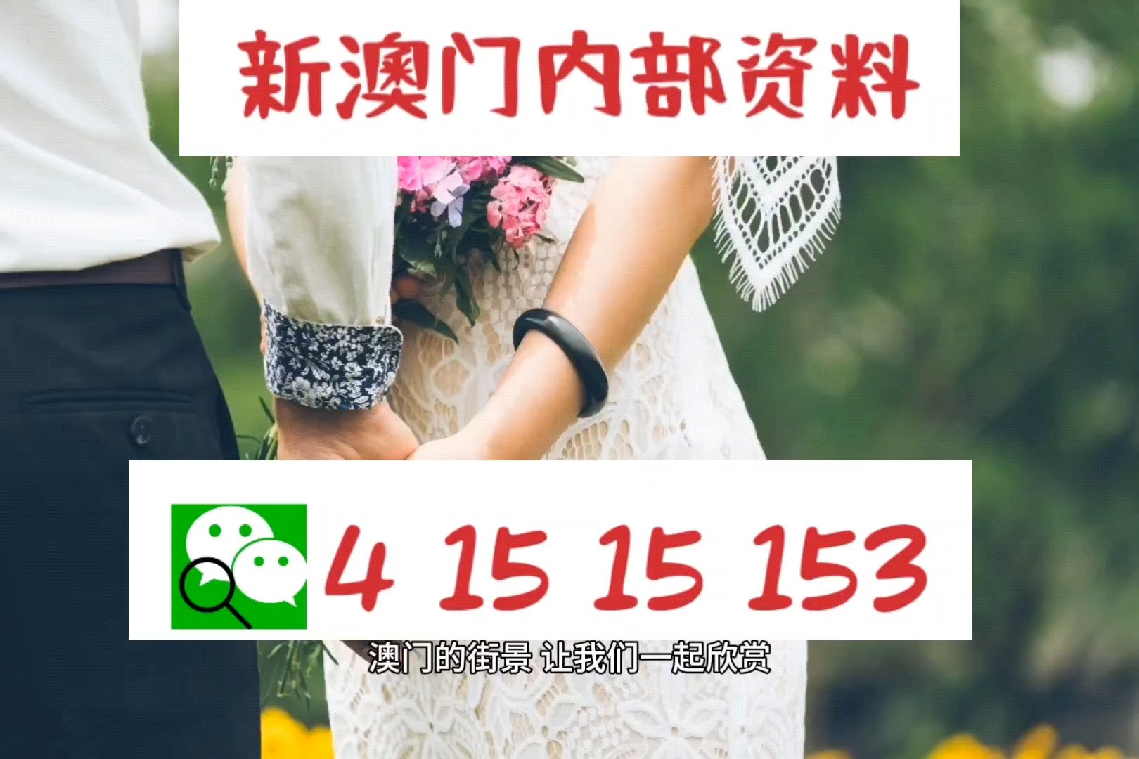 精準(zhǔn)一肖100%今天澳門,精準(zhǔn)一肖100%，揭秘澳門今天的秘密