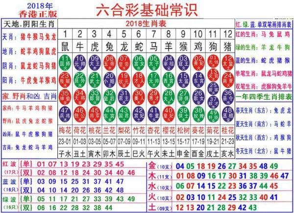 澳門正版資料大全資料生肖卡,澳門正版資料大全資料生肖卡，探索與解析