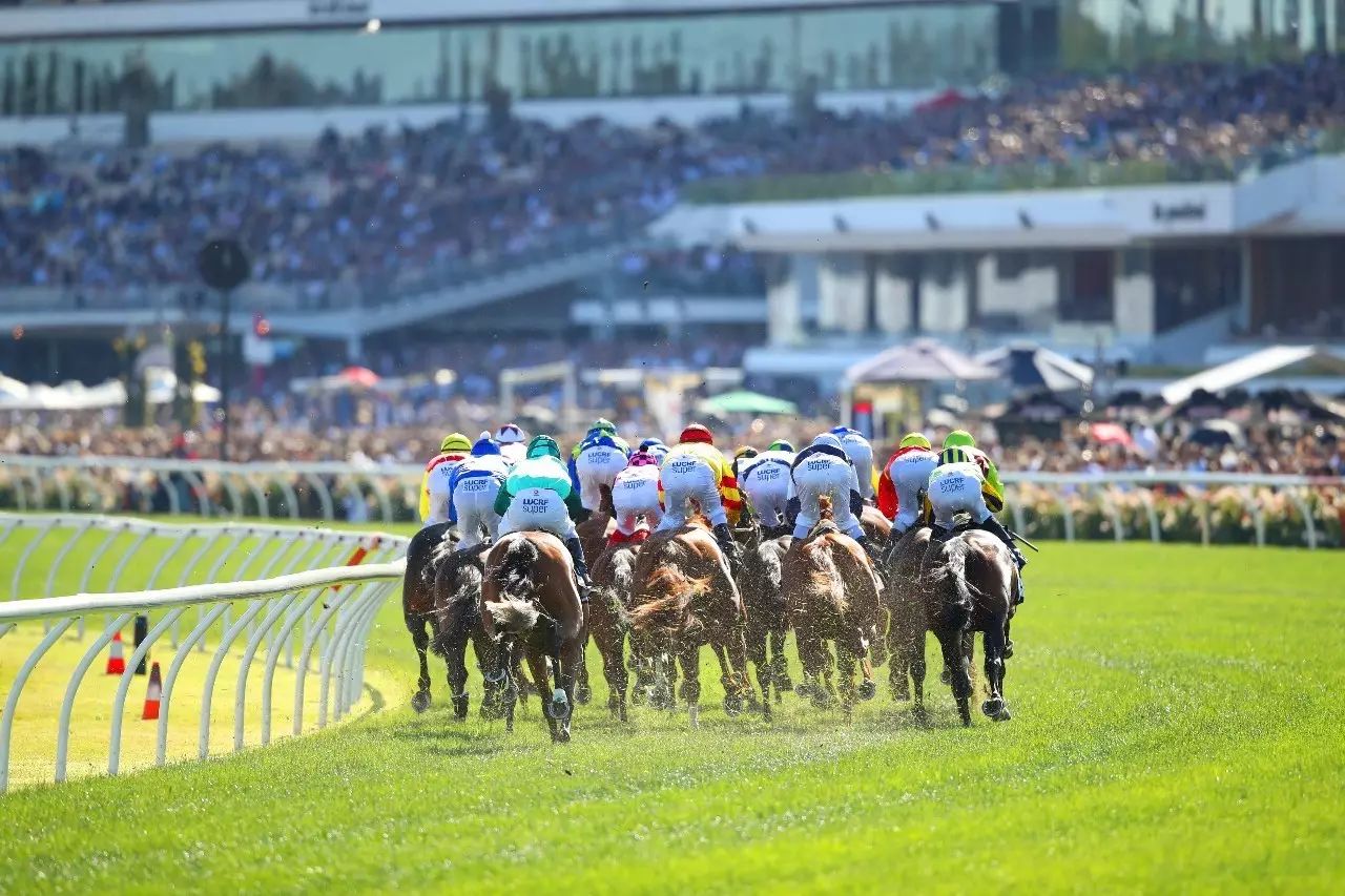 2024今晚香港開特馬,今晚香港開特馬，探尋賽馬文化的魅力與激情