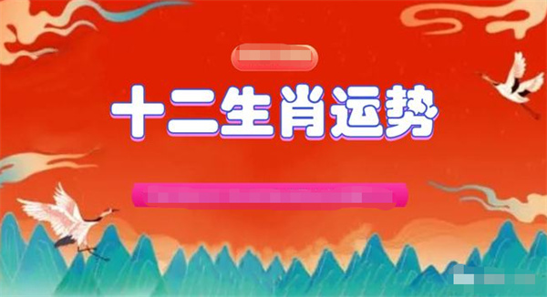 新澳門今晚精準一肖,新澳門今晚精準一肖，探索生肖預測的魅力與真實性