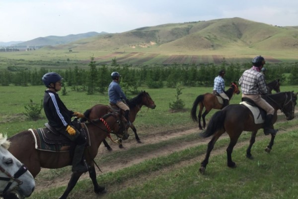 今晚澳門(mén)馬出什么特馬,今晚澳門(mén)馬會(huì)出什么樣的特馬？探索神秘馬場(chǎng)的奇幻之旅