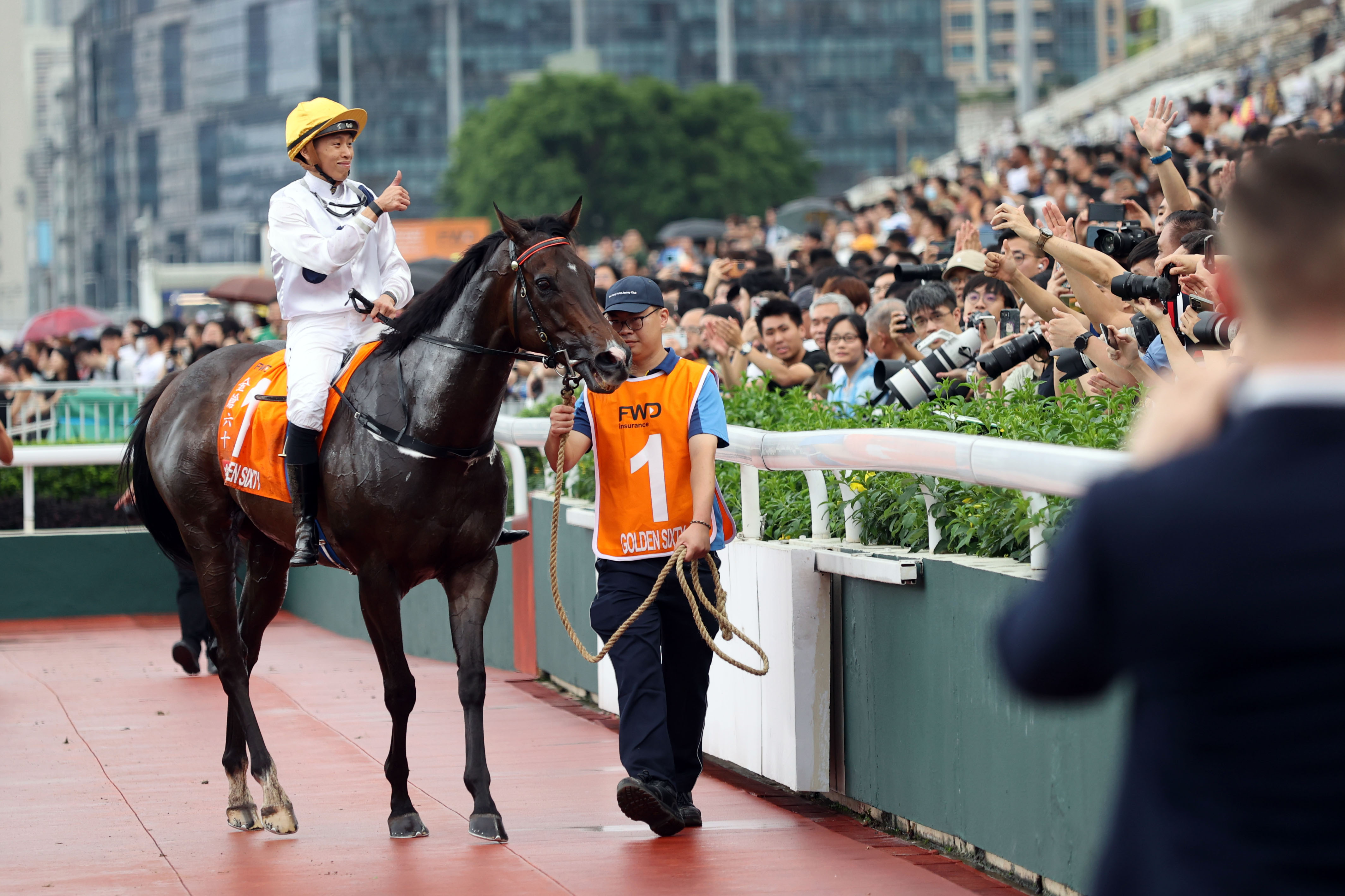 香港馬買馬網(wǎng)站www,香港馬買馬網(wǎng)站www——探索賽馬文化的獨(dú)特魅力