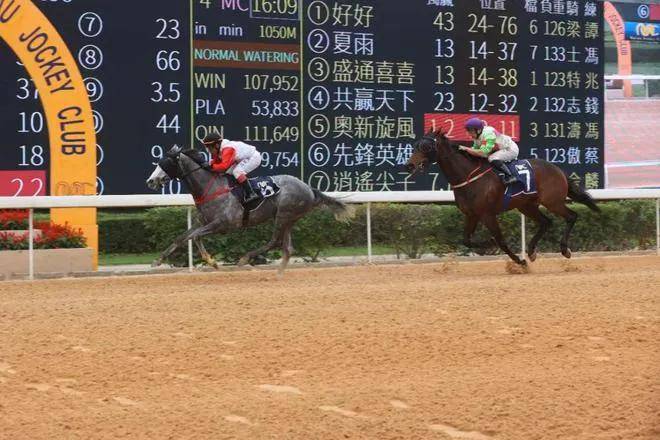 今晚澳門馬出什么特馬,今晚澳門馬會(huì)出什么樣的特馬？探索澳門賽馬中的神秘元素