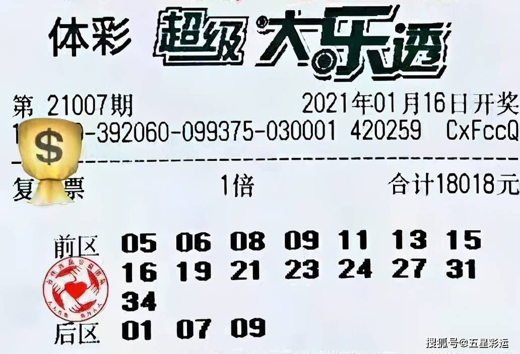 2024澳門今晚必開一肖,澳門今晚必開一肖，探索生肖運勢與預測的魅力