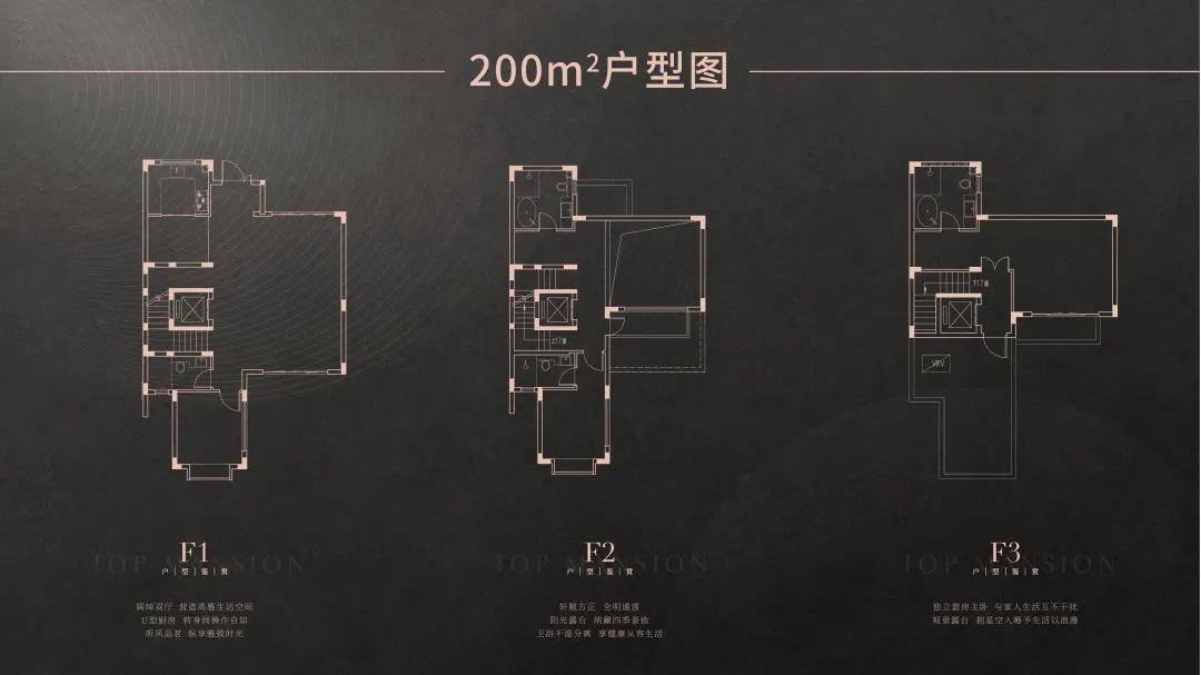 新門內(nèi)部資料精準大全,新門內(nèi)部資料精準大全，深度探索與解析