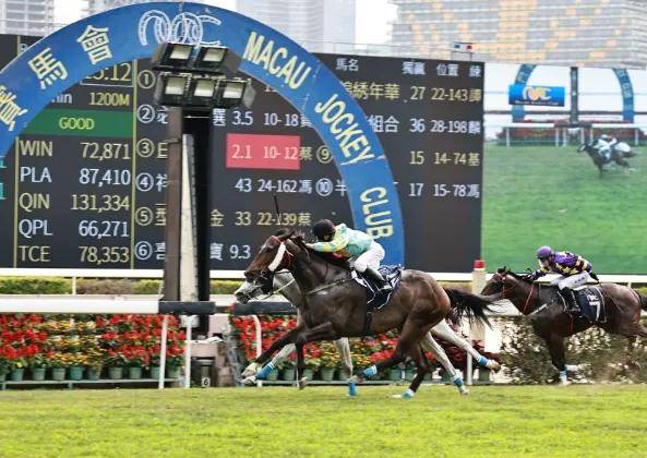 2025澳門特馬今晚開獎138期,澳門特馬的歷史與魅力，聚焦今晚開獎的2025年第138期