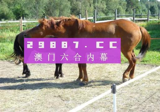 4949澳門特馬今晚開(kāi)獎(jiǎng)53期,澳門特馬第53期開(kāi)獎(jiǎng)揭曉，期待與現(xiàn)實(shí)的交匯