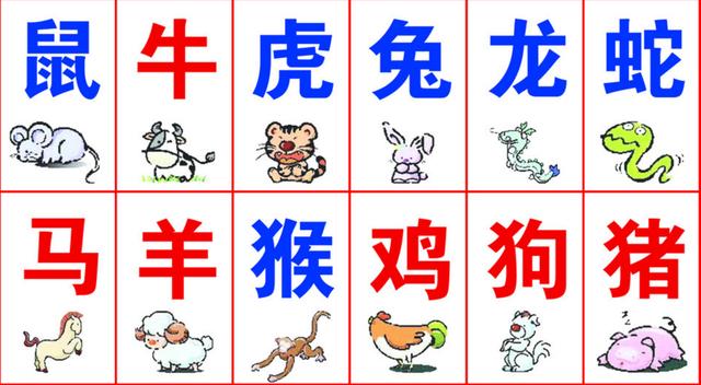 一碼一肖100%精準(zhǔn)生肖第六,一碼一肖，揭秘生肖第六的精準(zhǔn)魅力與奧秘