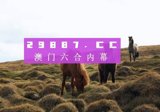 澳門六開獎(jiǎng)結(jié)果2023開獎(jiǎng)記錄查詢網(wǎng)站,澳門六開獎(jiǎng)結(jié)果2023開獎(jiǎng)記錄查詢網(wǎng)站，探索與解析