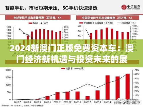 2025新澳門免費資料,探索未來，澳門免費資料的演變與機遇（至2025年）