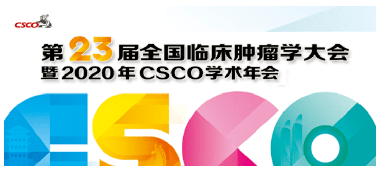 2025新奧資料免費精準071,探索未來，2025新奧資料的免費精準共享之旅（071關鍵詞解讀）