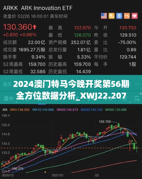 2025年澳門特馬今晚,澳門特馬在2025年的新篇章，探索未來與傳承歷史