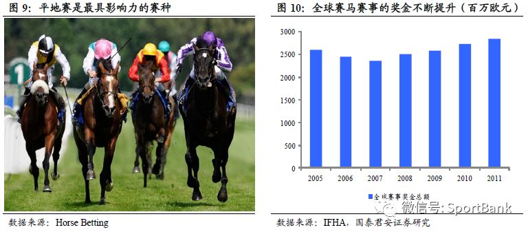 特馬資料,特馬資料，深入了解與探索