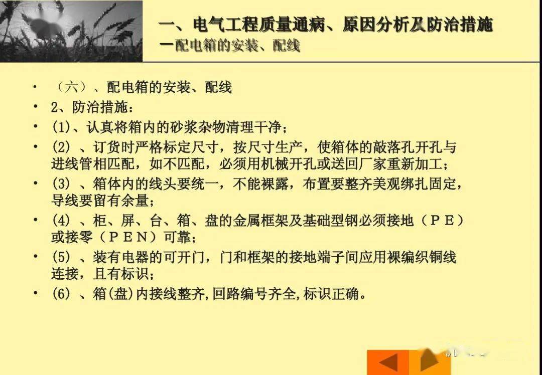 正版資料免費資料大全十點半,正版資料與免費資料大全，十點半的寶藏探索