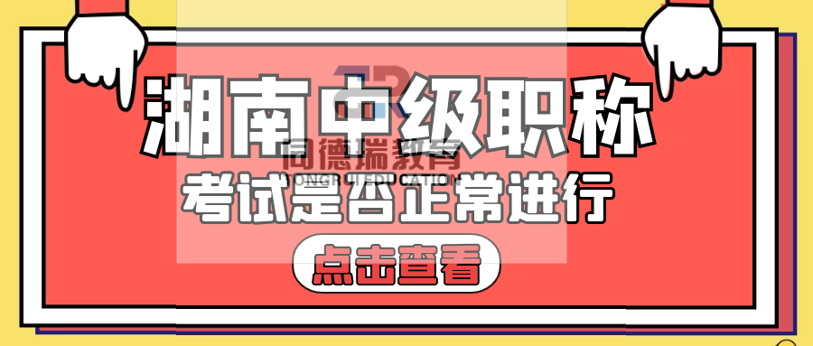 管家婆一肖一馬一中一特,管家婆的神秘預測，一肖一馬一中一特