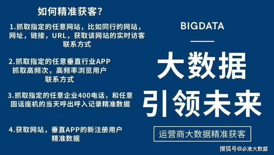 2025新奧精準版資料,揭秘2025新奧精準版資料，深度解析與應用前景