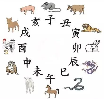 2025年12生肖49碼圖,揭秘2025年十二生肖與49碼圖的神秘關(guān)聯(lián)