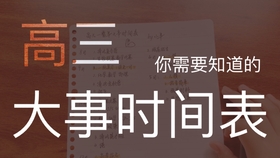 澳門管家婆資料一碼一特一,澳門管家婆資料一碼一特一，深度解析與探討