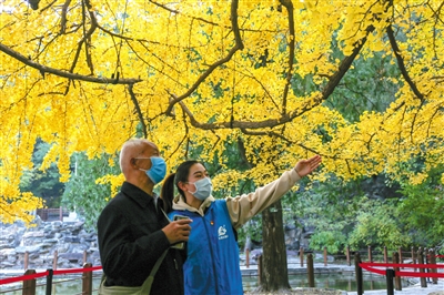 2025澳門天天開好彩大全46期,澳門天天開好彩大全，探索彩票文化背后的故事與期待（第46期）